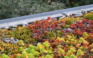 the cost of Caskieberran green roof installation