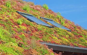 Caskieberran living roof systems